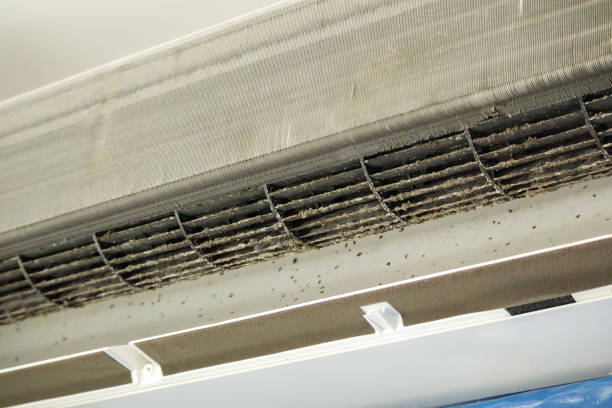 Best Best Air Duct Cleaning Company  in Somerset, TX